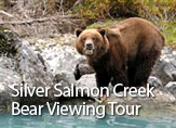 featured-tours-bear-viewing