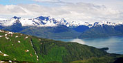 overview